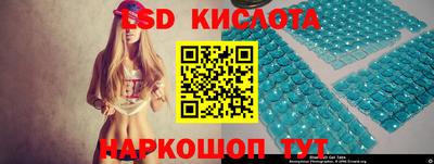 прущие грибы Краснодар