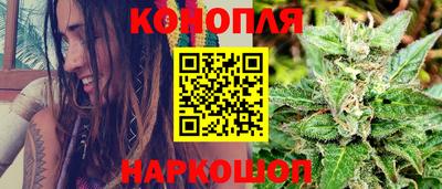 прущие грибы Краснодар