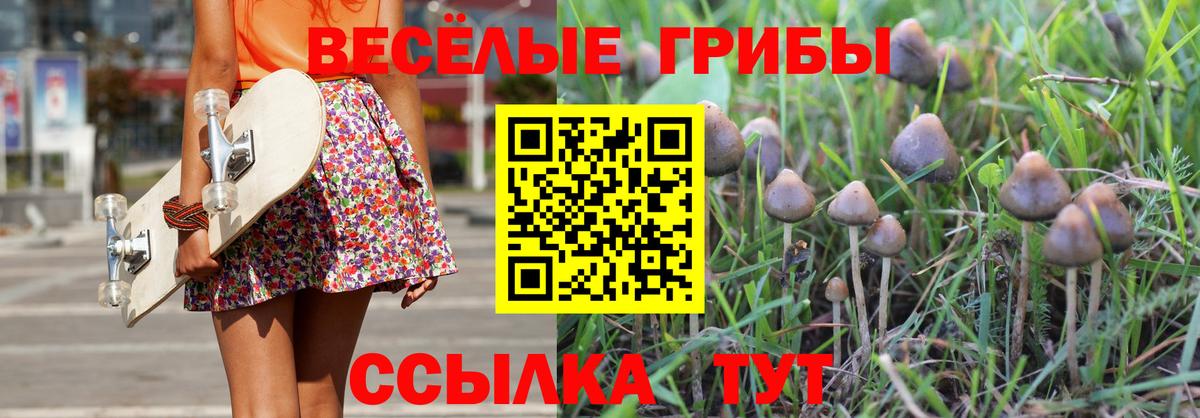 Армавир  Псилоцибиновые грибы мухоморы  Вход с VPN  Галлюциногенные грибы Psilocybine cubensis 