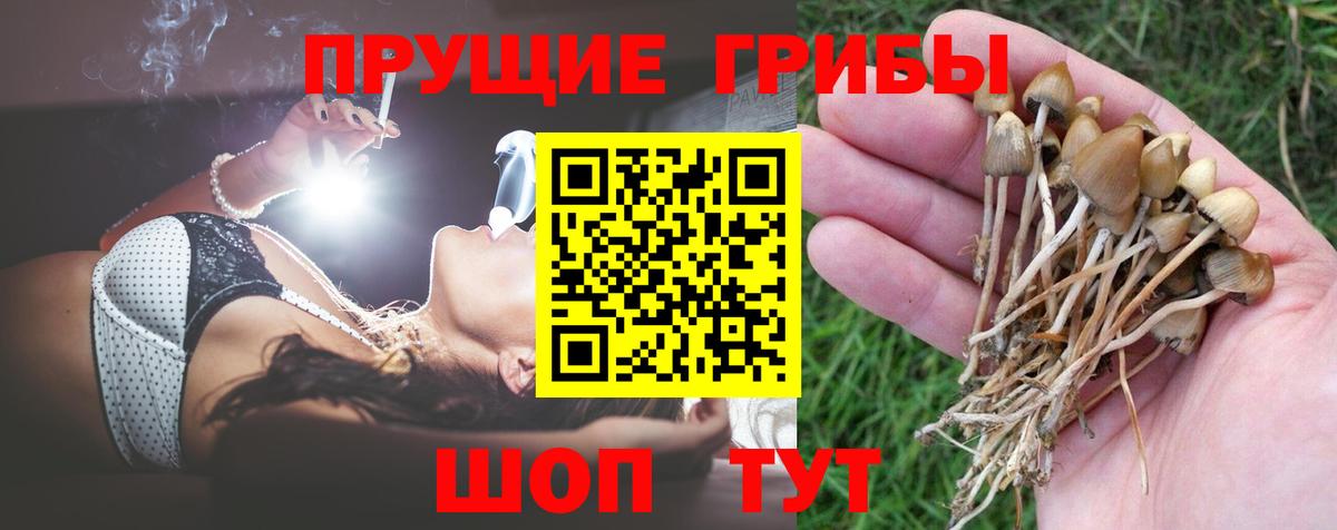 Галлюциногенные грибы прущие грибы Армавир